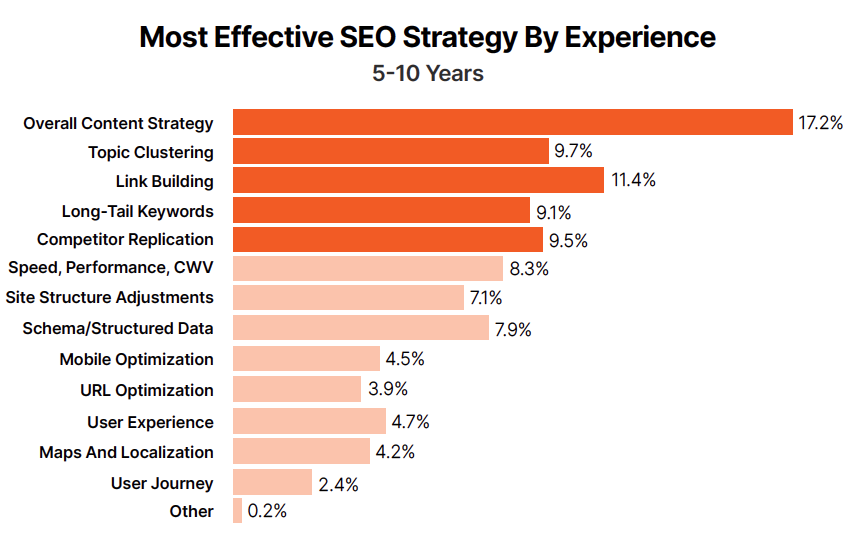 Most effective SEO strategy (5 - 10 years experience)