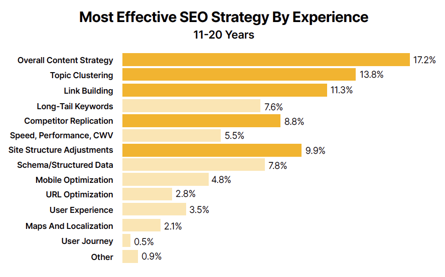 Most effective SEO strategy (10 - 20 years of experience)